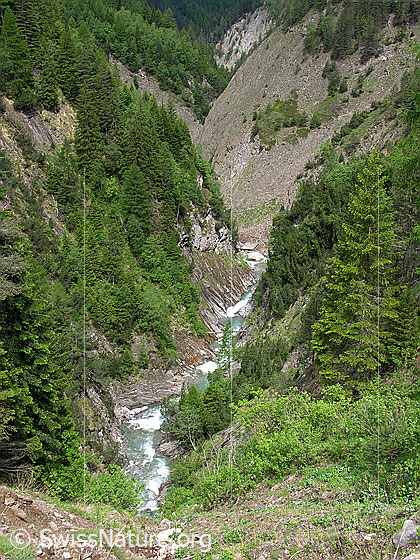 Foto: Blick in die tief eingeschnittene Twingischlucht. Darin verläuft die Binna. Die steilen Hänge sind zum Teil bewaldet.