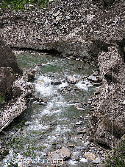 Foto: Die Binna fliesst zwischen schuttbedeckten Resten eines Lawinenkegels durch die Twingischlucht.
