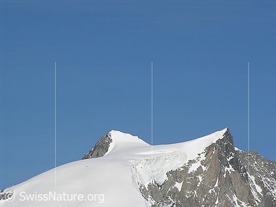 Foto: Blick vom Eggishorn zum Gipfel des Geisshorns.