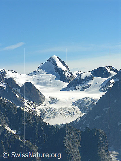 Foto: Blick vom Eggishorn zum Oberaarhorn.