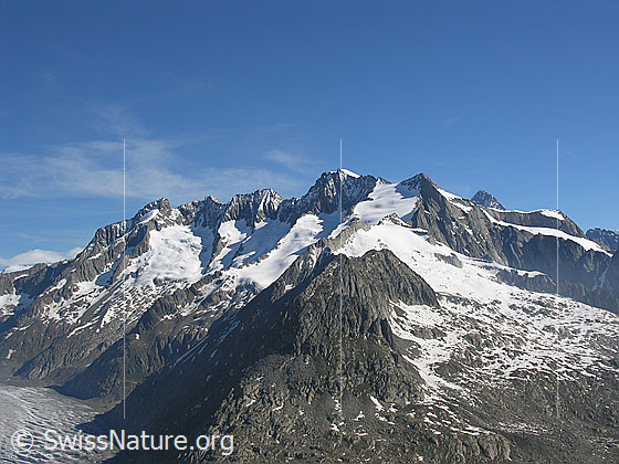Foto: Blick vom Eggishorn zu Chamm, Fiescher Gabelhorn, Schönbühlhorn, Gross Wannenhorn, Klein Wannenhorn und Finsteraarhorn.