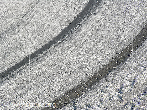 Foto: Mittelmoräne des Aletschgletschers (Ausschnitt).
