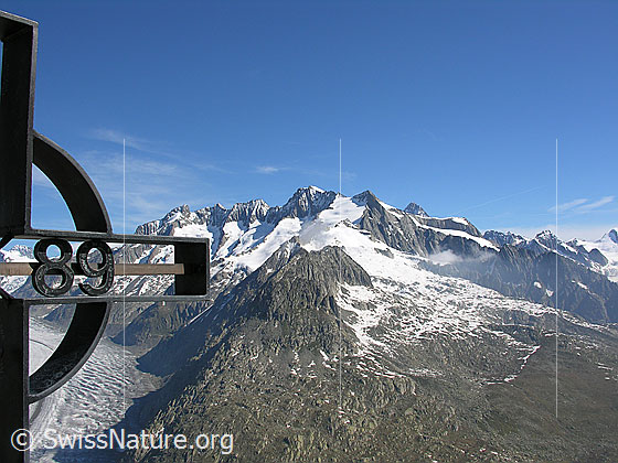 Foto: Gipfelkreuz auf dem Eggishorn und Blick auf Aletschgletscher, Chamm, Fiescher Gabelhorn, Schönbühlhorn, Gross Wannenhorn, Klein Wannenhorn und Finsteraarhorn.