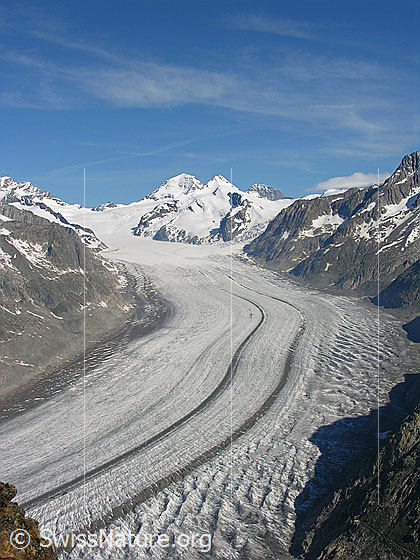 Foto: Blick vom Eggishorn auf den Aletschgletscher und den Konkordiaplatz. Im Hintergrund das Jungfraujoch und die Gipfel Mönch, Trugberg und Eiger.