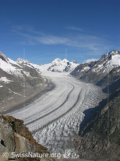Foto: Blick vom Eggishorn über den Aletschgletscher und Konkordiaplatz zu Jungfrau, Jungfraujoch, Mönch und Trugberg.