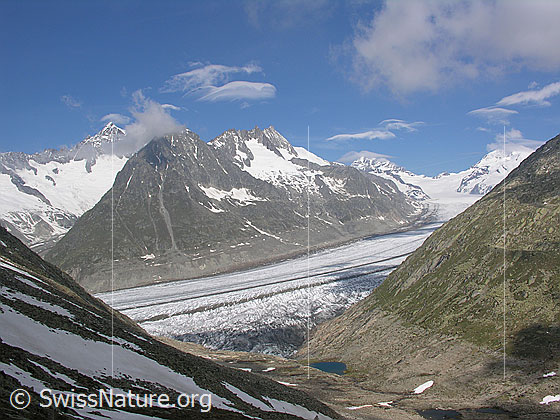 Foto: Unterhalb Eggishorn. Blick auf Märjelesee,  Aletschgletscher, Aletschhorn, Olmenhorn, Dreieckhorn, Jungfrau, Jungfraujoch und Mönch.