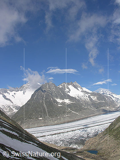 Foto: Unterhalb Eggishorn. Blick auf Märjelesee,  Aletschgletscher, Olmenhorn, Dreieckhorn und Jungfrau.