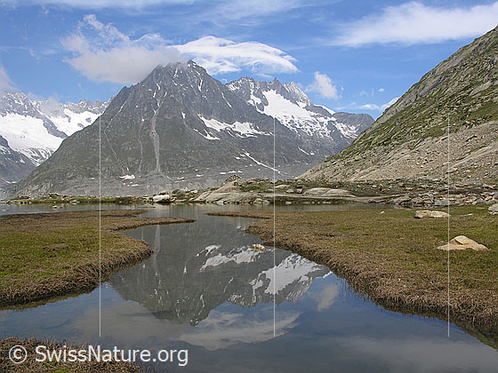 Foto: Olmenhorn und Dreieckhorn bei leichter Bewölkung spiegeln sich in einem Wasserlauf, welcher in den Märjelesee mündet.