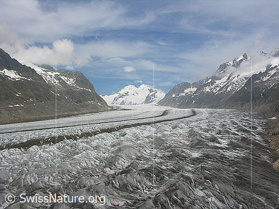 Foto: Am Rand des Aletschgletschers. Blick über den Gletscher mit Mittelmoräne zu Mönch und Trugberg.