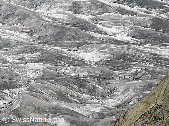 Foto: Seilschaft auf dem ausgeaperten Aletschgletscher.