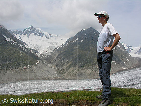 Foto: Person auf einer Wanderung entlang des Aletschgletschers. Im Hintergrund Aletschhorn, Mittelaletschgletscher und Olmenhorn.