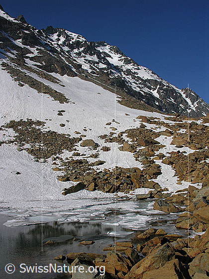 Foto: Rötliches Gestein am Ufer des noch teilweise zugefrorenen Zantmärjelesees. Im Hintergrund ist das Schwarzhorn zu sehen.
