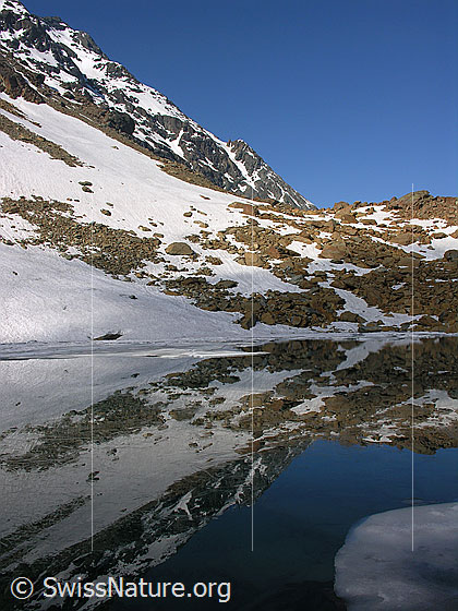 Foto: Spiegelung des rötlichen Gesteins bei Zantmärjelebiel, der Schneefelder und des Grats zum Schwarzhorn im Zantmärjelesee.