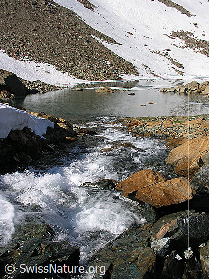 Foto: Einmündung eines sprudelnden Bergbachs in den Zantmärjelesee. Am Ufer liegen rötliche Felsblöcke. Im Hintergrund sind Schneefeler und eine Geröllhalde zu sehen.