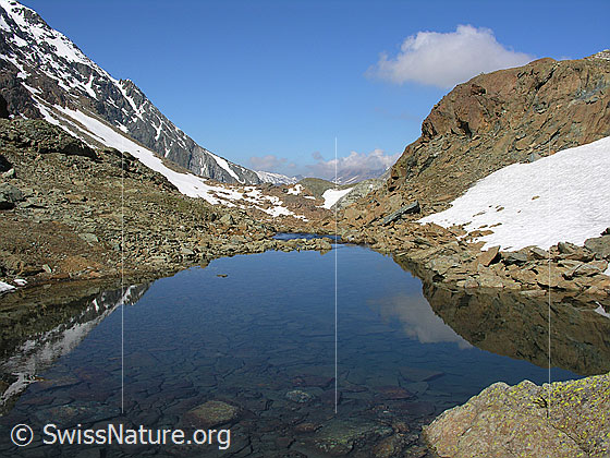 Foto: Blick über den Züesee Richtung Westen. Im klaren Wasser sind zahlreiche Steinplatten zu sehen. Der Bergsee ist von Geröll umgeben. Der Grat zum Schwarzhorn und ein rötlicher Felskopf spiegeln sich im See.