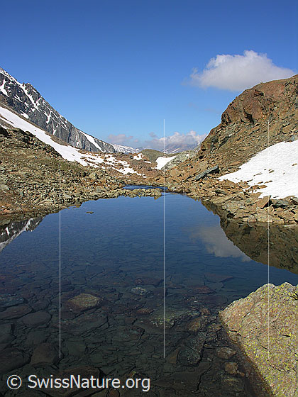 Foto: Blick über den Züesee Richtung Westen. Im klaren Wasser sind zahlreiche Steinplatten zu sehen. Der Bergsee ist von Geröll umgeben. Der Grat zum Schwarzhorn und ein rötlicher Felskopf spiegeln sich im See.