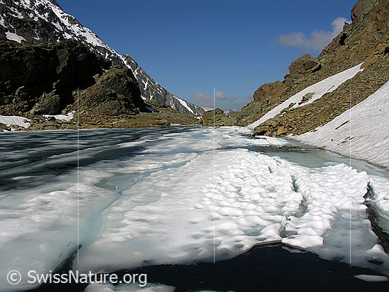 Foto: Blick über den eisbedeckten Züesee Richtung Westen. Das Eis ist durch das Tauen auseinander gebrochen. Eisschollen, Schmelzwasserläufe auf der Eisdecke und offene Stellen wechseln sich ab. Die Farbe des Wassers reicht von hellblau bis schwarz. Der See ist von rötlichem Gestein umgeben.
