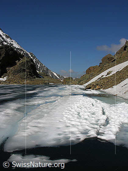 Foto: Blick über den eisbedeckten Züesee Richtung Westen. Das Eis ist durch das Tauen auseinander gebrochen. Eisschollen, Schmelzwasserläufe auf der Eisdecke und offene Stellen wechseln sich ab. Die Farbe des Wassers reicht von hellblau bis schwarz. Der See ist von rötlichem Gestein umgeben.