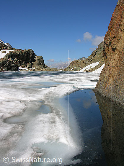Foto: Blick über den eisbedeckten Züesee Richtung Westen. Den rötlichen Felsen im Uferbereich entlang ist das Eis bereits geschmolzen. Auf der Eisdecke haben sich Schmelzwassertümpel gebildet.