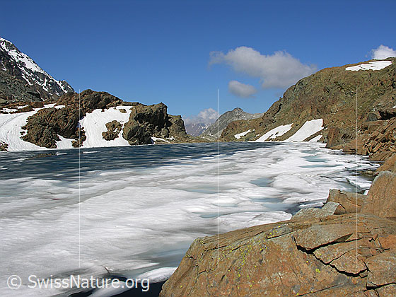 Foto: Blick über den eisbedeckten Züesee Richtung Westen. Den rötlichen Felsen im Uferbereich entlang ist das Eis bereits geschmolzen. Auf der Eisdecke haben sich Schmelzwassertümpel gebildet. Im Hintergrund ist das Stockhorn erkennbar.