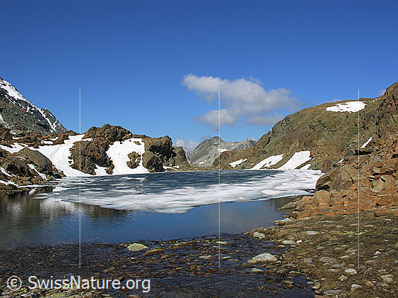 Foto: Blick auf den Züesee mit tauender Eisdecke und schwacher Spiegelung. Das seichte Ufer bildet den Überlauf des Geisspfadsees in den Züesee. Im Hintergrund ist das Stockhorn zu sehen.