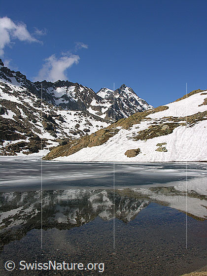 Foto: Spiegelung der Punta Gerla und des Schwarzhorns im klaren Geisspfadsee. Der Bergsee ist noch teilweise eisbedeckt.