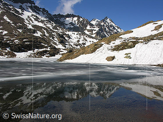 Foto: Spiegelung der Punta Gerla und des Schwarzhorns im klaren Geisspfadsee. Der Bergsee ist noch teilweise eisbedeckt.