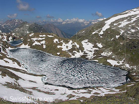 Foto: Blick auf den eisbedecktenn Geisspfadsee. Im Hintergrund: Züesee, Bättlihorn, Stockhorn und Breithorn. Auf der Eisoberfläche hat sich durch das Tauen Schmelzwasser angesammelt und es sind bereits Löcher in der Eisdecke entstanden.