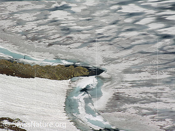 Foto: Blick auf den eisbedeckten Geisspfadsee. Auf der Eisoberfläche hat sich durch das Tauen Schmelzwasser angesammelt. Ein Felssporn und ein Schneefeld reichen bis in den See. Dem Ufer entlang hat sich ein hellblauer Wassserstreifen gebildet.