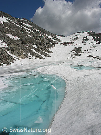 Foto: Blick über den zugefrorenen Schwarzsee zum Grossen Schinhorn und Mittelbergpass. Die Eisdecke ist teilweise in Schollen gebrochen. Das Schmelzwasser auf der Eisoberfläche ist hellblau bis türkis gefärbt.