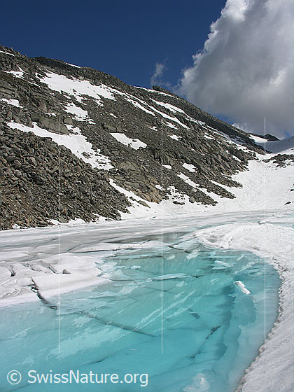 Foto: Blick über den zugefrorenen Bergsee. Die Eisdecke ist teilweise in Schollen gebrochen. Das Schmelzwasser auf der Eisoberfläche ist hellblau bis türkis gefärbt.