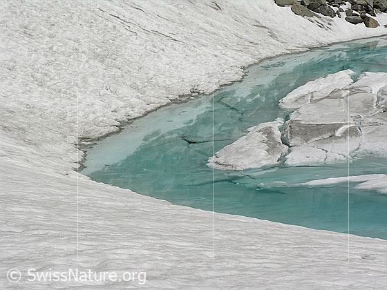 Foto: Auftauender Schwarzsee (Ausschnitt). Die Eisdecke ist teilweise in Schollen gebrochen und im Uferbereich hat sich Schmelzwasser auf der Eisoberfläche gebildet. Das Wasser ist hellblau bis türkis gefärbt.
