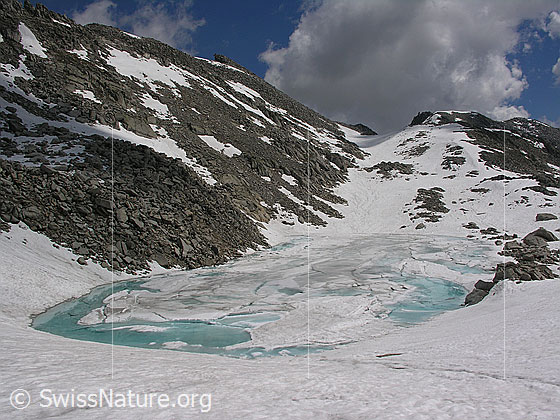 Foto: Blick über den zugefrorenen Schwarzsee zum Grossen Schinhorn und Mittelbergpass. Die Eisdecke ist teilweise in Schollen gebrochen. Das Schmelzwasser auf der Eisoberfläche ist hellblau bis türkis gefärbt.