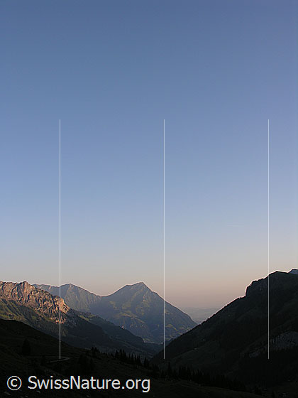 Foto: Morgenstimmung auf der Bundalp. Blick über das Kiental zum Niesen.