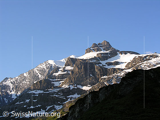 Foto: Morgenhorn und Wildi Frau von N im Morgenlicht