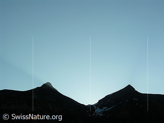 Foto: Konturen von Wild Andrist und Hundshorn im Gegenlicht.