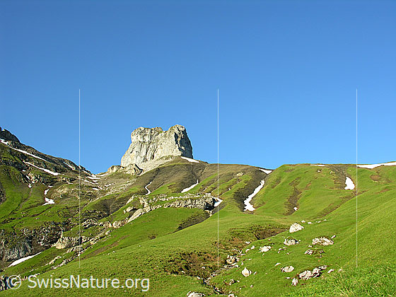 Foto: Chlyne Bundstock und Dündeegg von N. Im Vordergund: Alpiesen in intensivem grün.