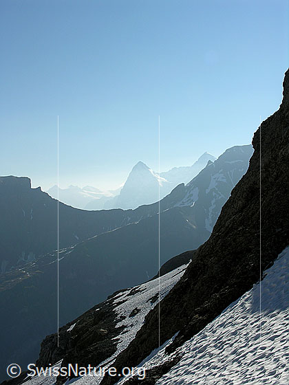 Foto: Im Aufstieg zum Bundstock: Blick über die Sefinenfurge zu Eiger und Mönch.