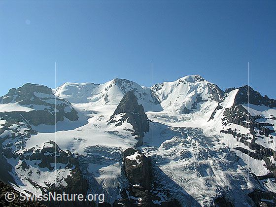 Foto: Wildi Frau - Morgenhorn -  Wyssi Frau - Ufem Stock - Bllüemlisalphorn - Blüemlisalp-Rothorn. Blüemlisalphorngletscher.