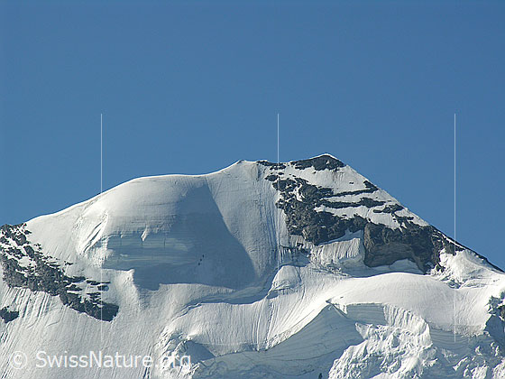 Foto: Gipfelbereich des Blüemlisalphorn. Blick in den oberen teil der Nordwand, in welcher eine 3er Seilschaft zu sehen ist.
