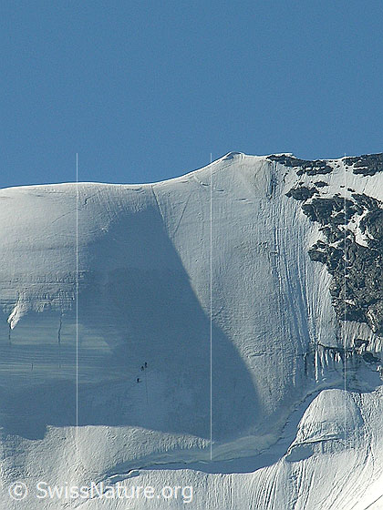 Foto: Gipfelbereich des Blüemlisalphorn. Blick in den obersten Teil der Nordwand, in welcher eine 3er Seilschaft zu sehen ist.