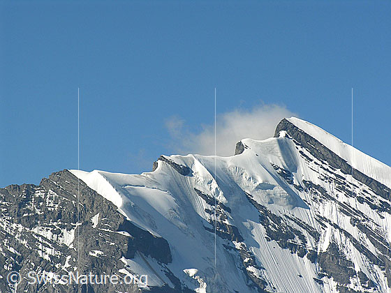 Foto: Gipfelbereich des Doldenhorn. Gut zu sehen ist der Ostgrat (Galletgrat) und der obere Teil der Nordwand.