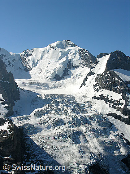 Foto: Blüemlisalphorn. Die Nordwand mit ihren Hängegletschern. Blüemlisalpgletscher.
