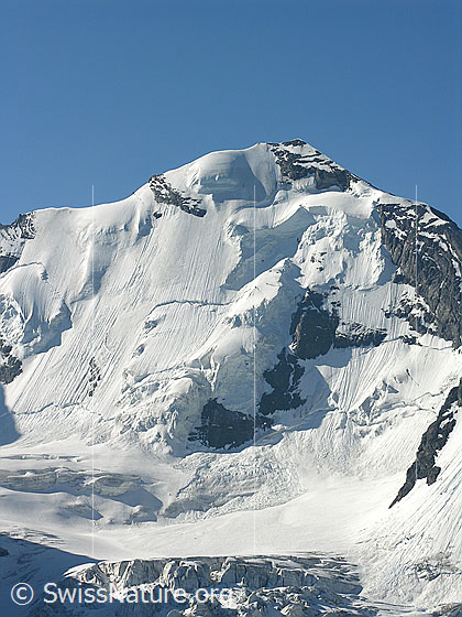 Foto: Blüemlisalphorn. Die Nordwand mit ihren Hängegletschern. Blüemlisalpgletscher.