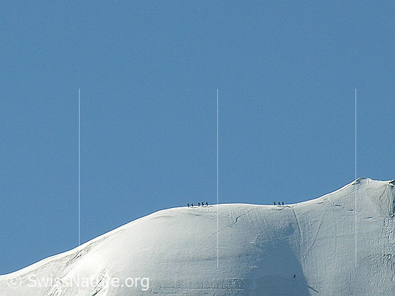 Foto: Blüemlisalp - Überschreitung: Seilschaften kurz vor dem Gipfel des Blüemlisalphorns.