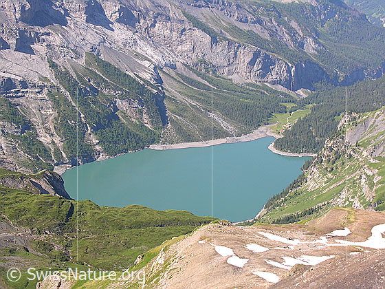Foto: Blick vom Bundstock auf den Oeschinensee