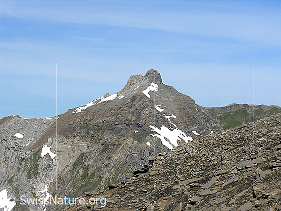 Foto: Dündenhorn von E