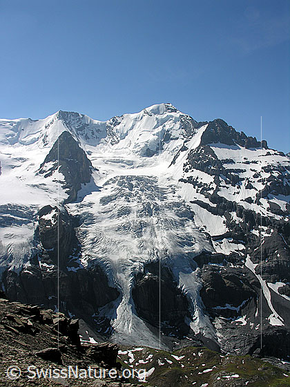 Foto: Blüemlisalphorn und Wyssi Frau.
