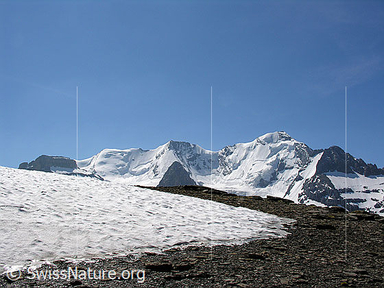 Foto: Blüemlisalpmassiv mit Morgenhorn, Wyssi Frau, Blüemlisalphorn.