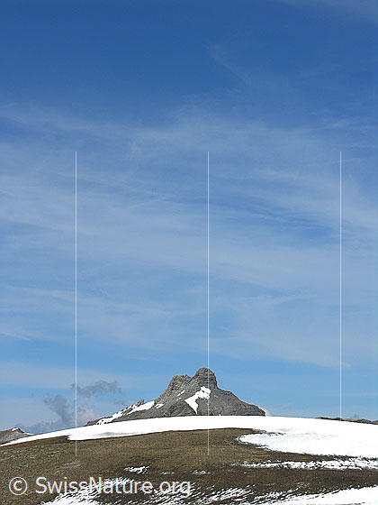 Foto: Blick über den flachen Gipfel des Bundstock zum Dündenhorn.